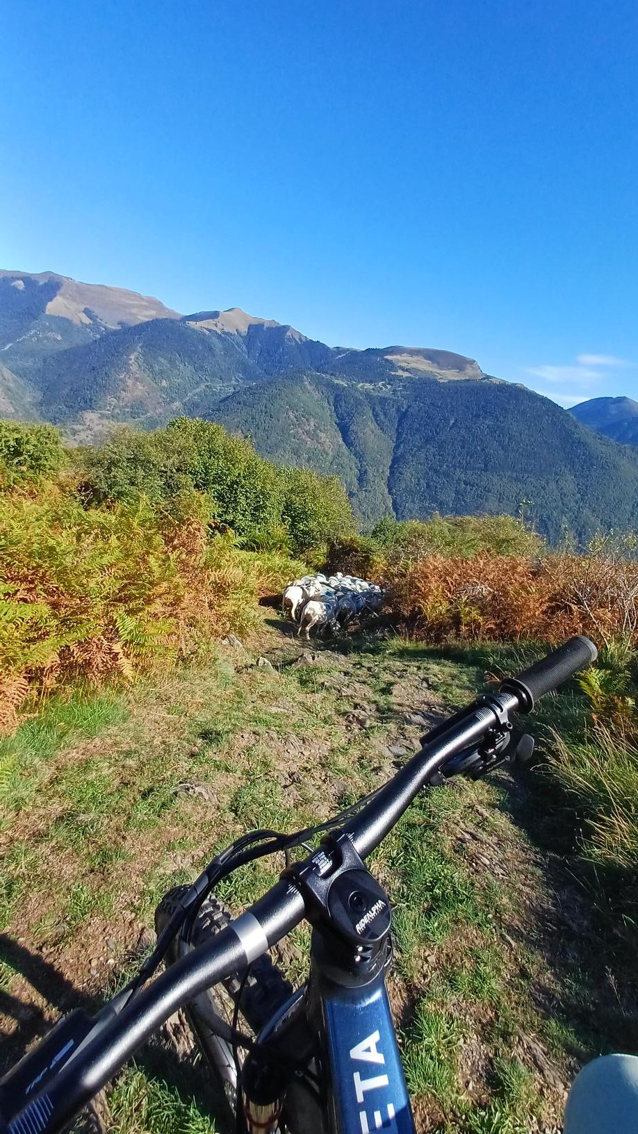 18-location-de-gite-cyclistes Descente à vélo sur une route pyrénéenne, séjour cycliste à Luchon