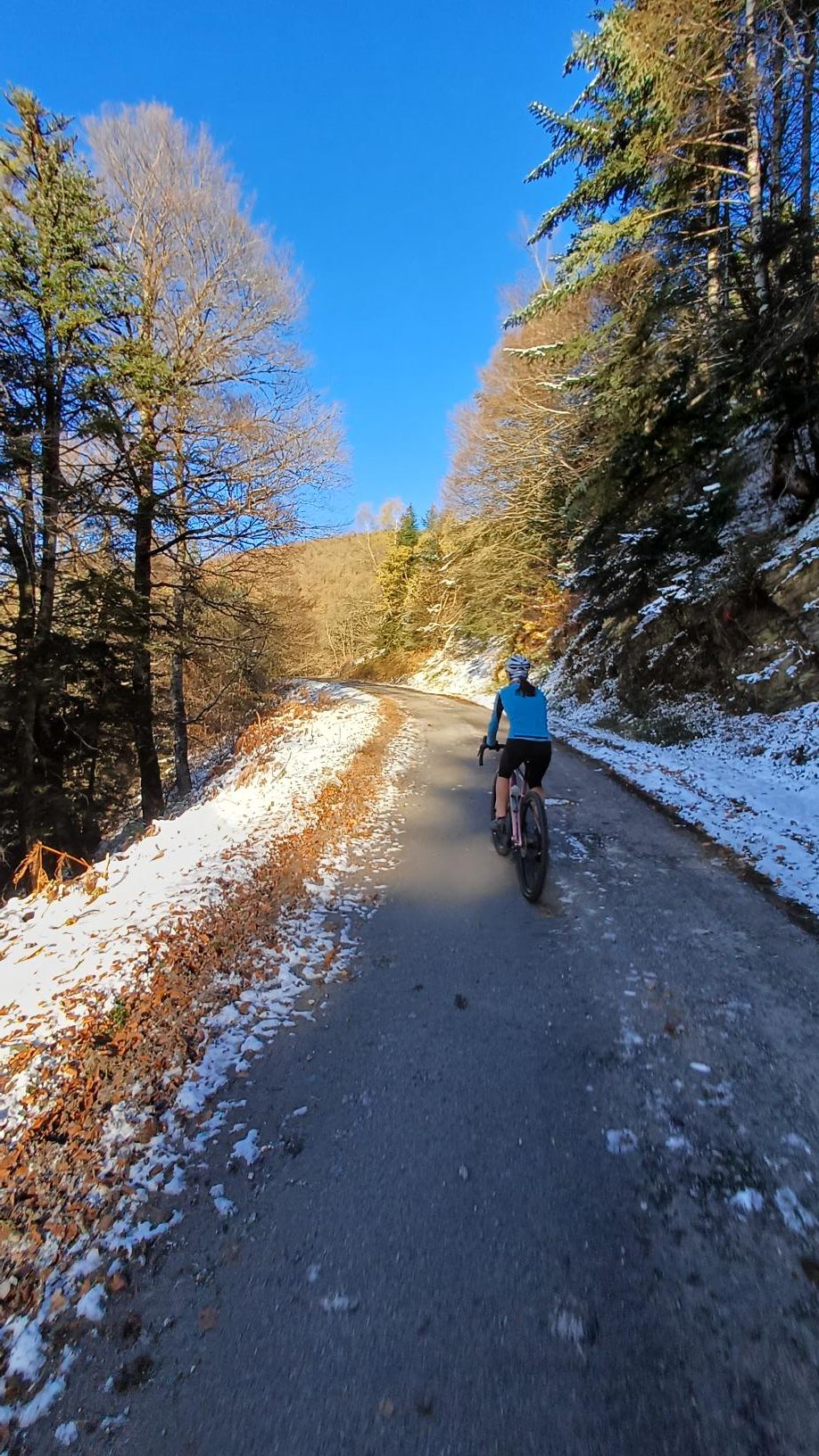 25-location-de-gite-cyclistes Cycliste en plein effort dans une montée des Pyrénées, séjour sportif à Luchon